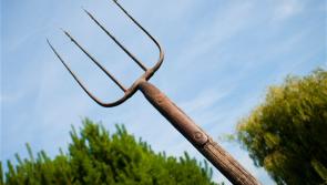 Alleged pitchfork attack in Monasterevin land dispute