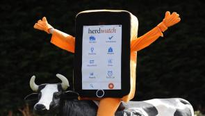 Herdwatch, farm jobs and live demonstrations to feature at National Ploughing Championships