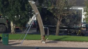 Trailer from  army lorry crashes into Kildare playground railing