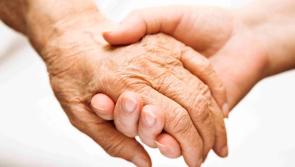 Greens call for support for carers and child protection workers during Covid-19