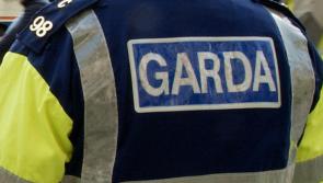 Gardaí appeal for witnesses after serious assault in wooded area