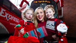 Bus Éireann has released its Christmas/New Year service schedule including Kildare routes