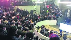 Marts to re-open under strict protocols