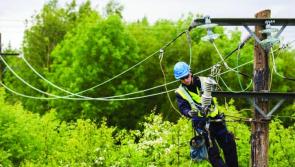 Small number of people without power in Kildare in wake of Storm Eleanor 