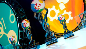 Kildare schools competing in BT Young Scientist 2020 in the RDS tomorrow