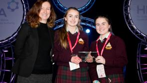 Awards for Kildare students at this year's BT Young Scientist exhibition