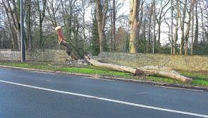 Kildare roads closed due to storm damage
