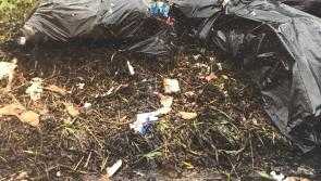 KCC spends €2.5 million a year on clean up costs