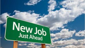 Kildare jobs roundup: who's hiring across the county this week?