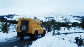 ESB warning to be on standby for power cuts in Kildare as Storm Emma set to strike 