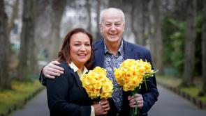 Kildare businesses urged to get on board for Daffodil Day