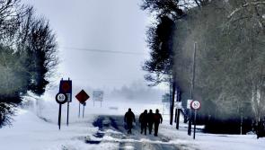 Picture gallery: Your fantastic photos of Kildare in the snow during Storm Emma
