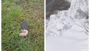You'll never guess what's been found under the melting snow in Edenderry