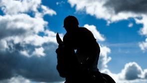 Cheltenham Festival Tips - Day Two picks