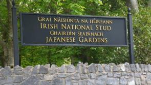 Kildare's National Stud lodge plans to build interactive museum