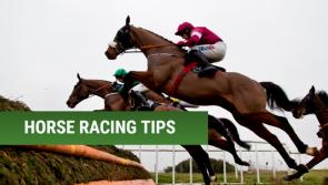 THE PUNTER'S EYE: The 40/1 shot that could make you a fortune this weekend