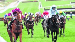 Punchestown Day 1 Results - Race results for Tuesday, April 30