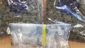 Kildare gardai seize €55,000 worth of MDMA and cannabis in Leixlip