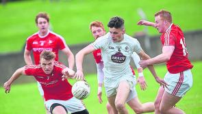 Lilies book their spot in Leinster Junior final