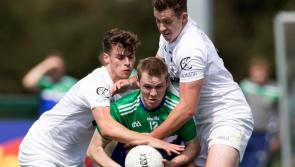 UPDATE:  Stroll in the Park for Sarsfields; wins for Naas and Johnstownbridge