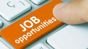Kildare TD welcomes record job creation by Enterprise Ireland firms in 2021