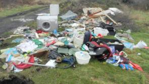 Kildare householder hired 'man with van' to dump rubbish  in Portarlingon