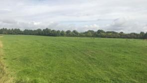Carbury land at €10,000 per acre for sale by public auction