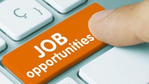 Growth in jobs forecast for County Kildare this year, recruitment agency says