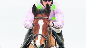 Win tickets for Unibet Morgiana Hurdle meeting at Punchestown