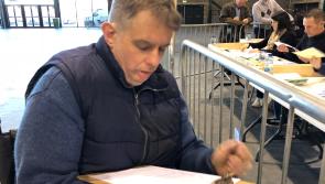 Count begins at Punchestown for Kildare North and South in Presidential Election '18