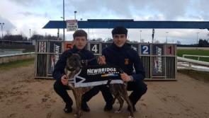 Night at the Dogs at Newbridge to support CARA Project