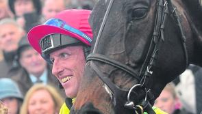 No shortage of Kildare interest in upcoming Cheltenham Festival