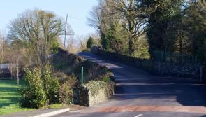 Call for Kildangan bridge safety works to begin