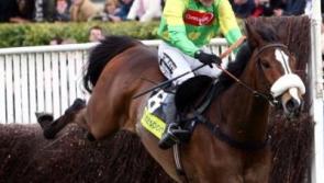 Cheltenham Gold Cup takes its toll on winners, and losers