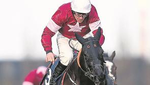 Cheltenham: how will the Irish novices fare