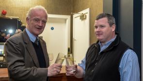 Punchestown email lifts spirits on a miserable February afternoon