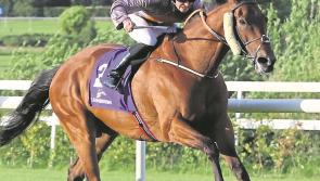 Naas host opening of Flat season this Sunday
