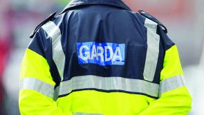 Gardaí investigating criminal damage incident that occurred in Kildare town