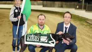 Kildare dog  trainer Robert Gleeeson wins €10,000 Kirby Stake at Limerick Track