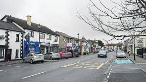 Kildare woman lay on the ground screaming and shouting at gardaí