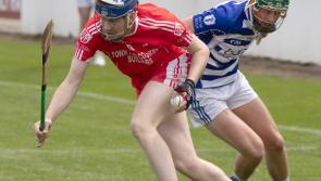 Coill Dubh crowned Kildare Senior Hurling League champions