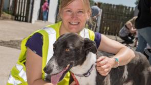 PHOTO GALLERY: Kildare Animal Foundation Open Day 2019, celebrating 25 years