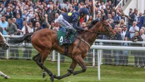 €60,000 Naas Yeomanstown Stake attracts English raiding party
