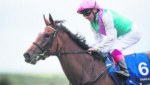 Kildare's Robert Catterson asks: Will the York hot pots deliver this week