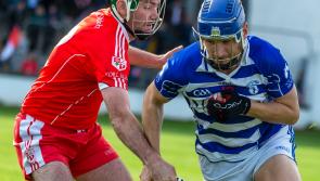 Kildare GAA: Naas crowned senior hurling champions