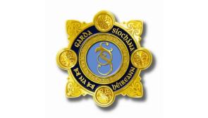 'There will be no let up in our pursuit of these vehicles' - Kildare gardaí seize 35 vehicles in a week
