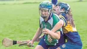 Kildare camogie: Johnstownbridge march on