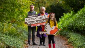 Kildare schools asked to join mission to save endangered bird species
