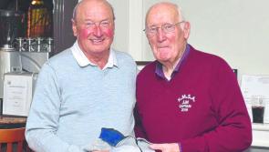 Golf: Kildare Senior Alliance hugely successful
