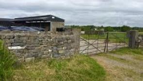 Kildare Gardai target suspected illegal poachers in Kilcullen